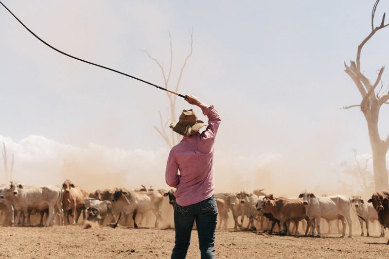 In Pictures: Modern cowboys in the Australian Outback