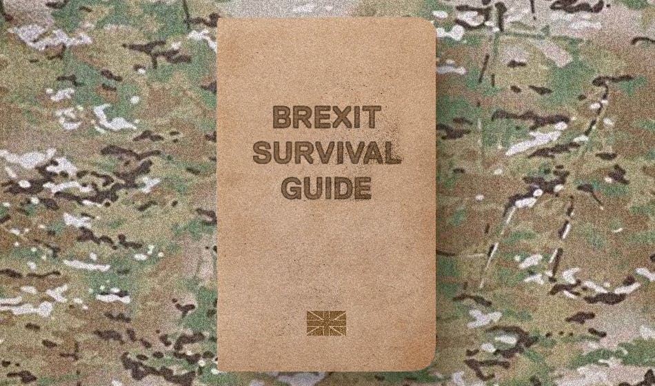 How to survive No Deal Brexit, from a real-life survival expert
